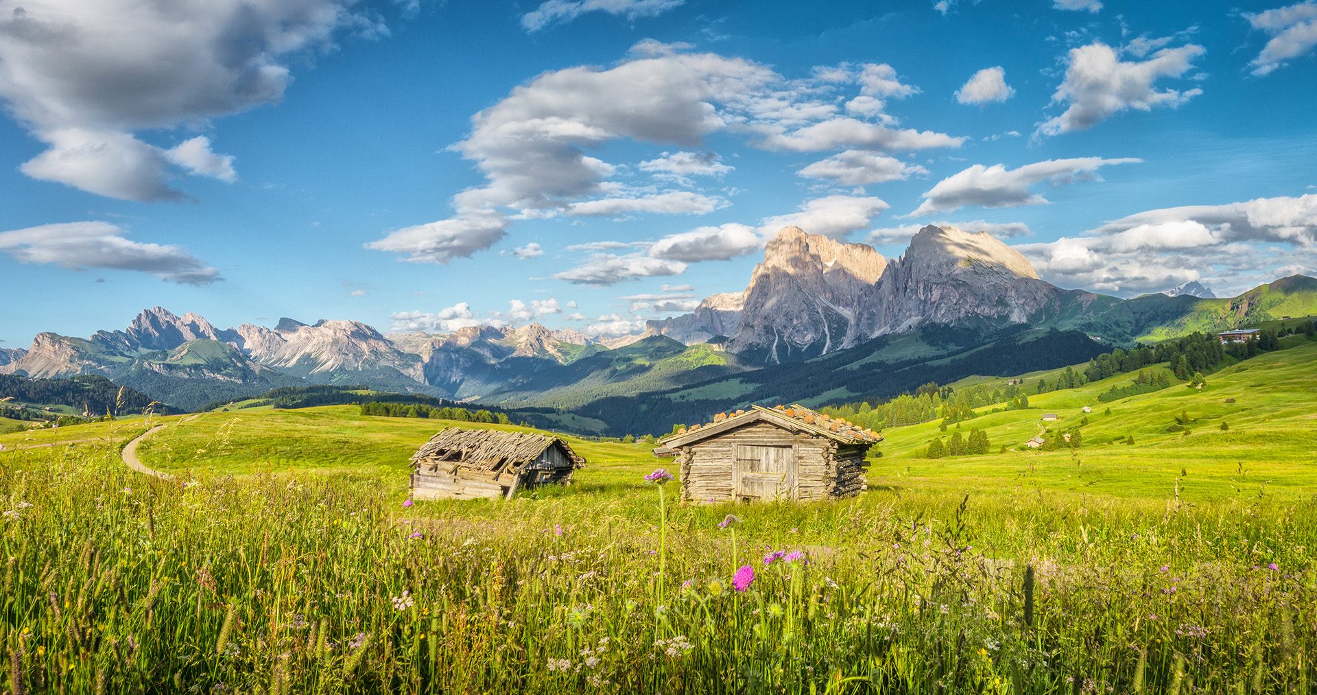 Südtirol Seiser Alm Almhütten im Sommer